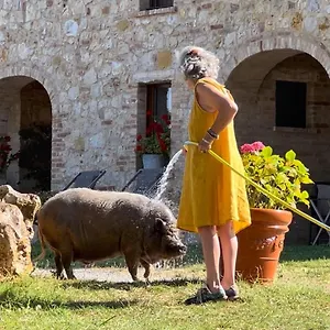 Sole Vakantieboerderij Trequanda